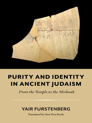 cover image of Purity and Identity in Ancient Judaism